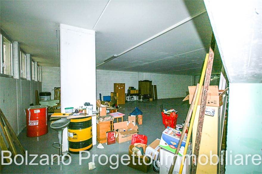 Photo 4