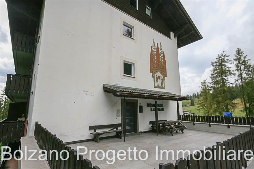 Photo 31