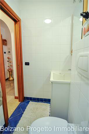 Photo 50