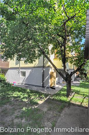 Photo 36