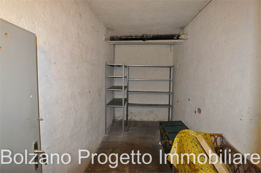 Photo 51
